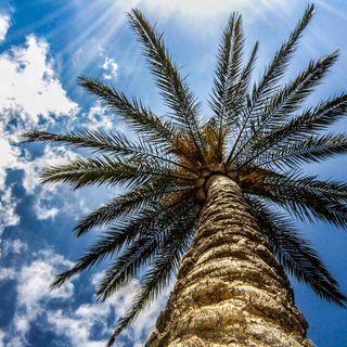 Горящие туры | Новости туризма