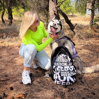 Приют для животных «Хвостатый дом» house_of_tails