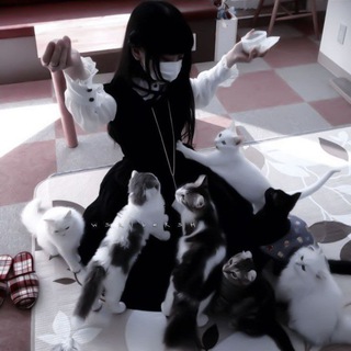 Батлы внешек/игры🙇🏻‍♀️💗