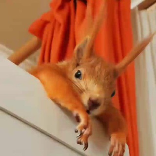 Хреновый канал