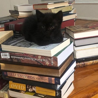 все реальные книголюбы тут 🔮