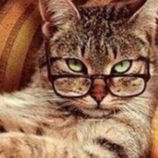 Хулиганофф.net