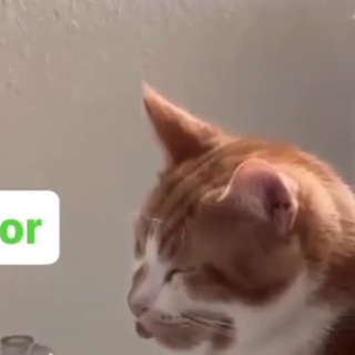 Тот юмор, что я люблю