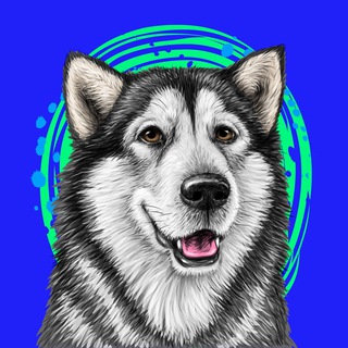 МОЙ ПУТЬ К УСПЕХУ В КРИПТОИНДУСТРИИ