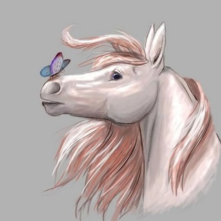 Школа верховой езды 