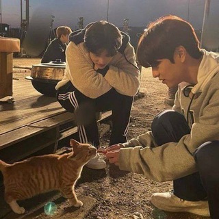 flourice fell in 愛