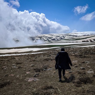 220cm: product, growth, marketplace