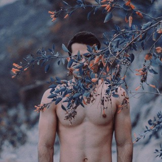 Ледяной протуберанец