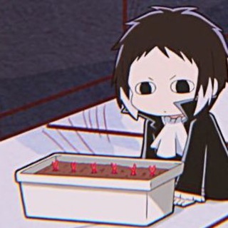 sᴛʀᴀʏ ᴅᴏɢs ᴡᴏʀʟᴅ