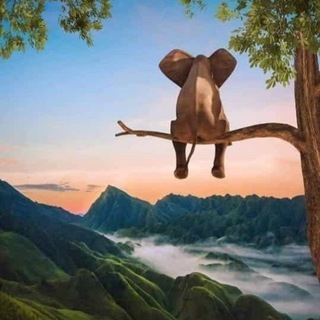 Идей Нет? Ideas' Net!