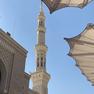 идущий за светом