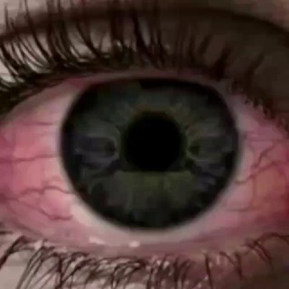 🔥 iGazetta 📰 🔥 - Новости | Янгиликлар | Yangiliklar