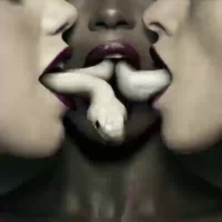 Иглоязычие