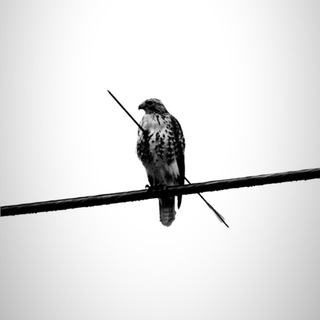 𝐖𝐚𝐡𝐢𝐝𝐚𝐧ོ