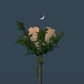 ✨𝒊𝒏𝒔𝒐𝒎𝒏𝒊𝒂✨