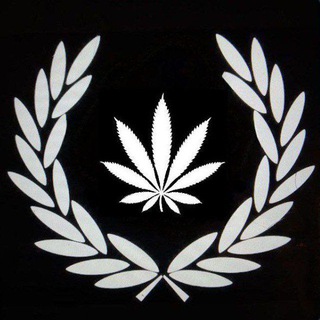 планчик и рэпчик - рэпчик и планчик🌪💸