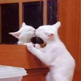 Я принимаю себя!