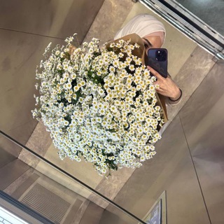 🤍🕊️♡ДЕВУШКИ В ХИДЖАБЕ КАРТИНКИ ♡ 🕊️🤍