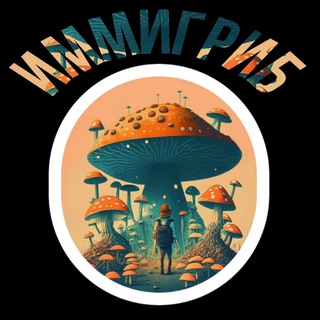 ИММИГРИБ — Канал об иммиграции