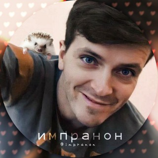 импранон🦔♡