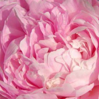 Ina Sekreto // Косметика Нижний Новгород