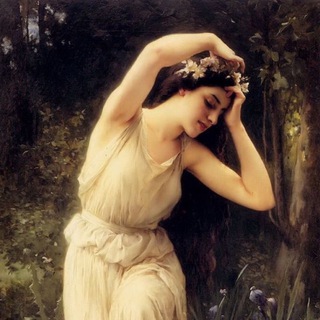 книжный эльф