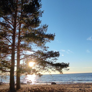 In the middle of Ленобласть