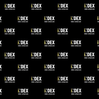 Index Capital