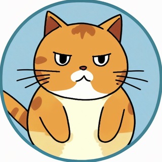 😻котики, юмор, гифки👌