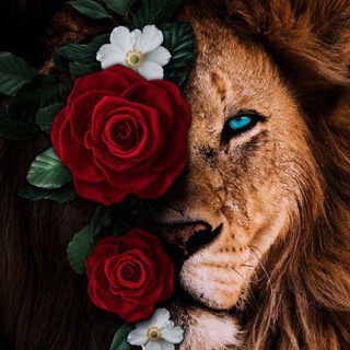 Бизнес пакет удалённых профессий