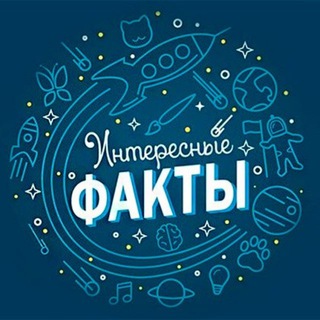 Интересные факты