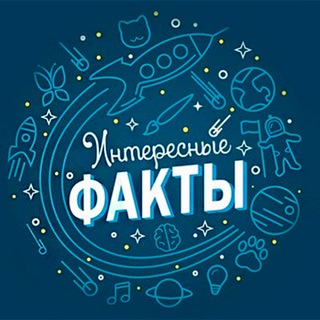 🧠Интересные Факты🧠