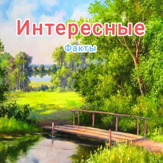 Это интересно