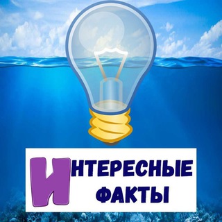 Интересные факты 🤔