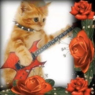 Интернет картинки и не только