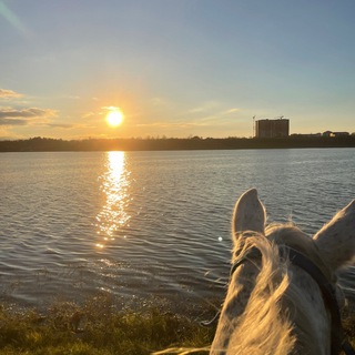 пещерный человек.