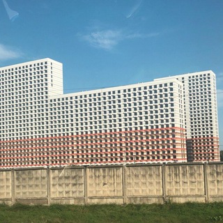 Инвестор из человейника