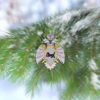 МЧС Иркутской области