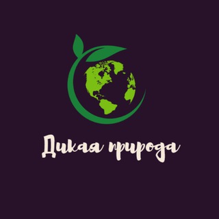 Дикая Природа