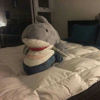 Продажа и аренда