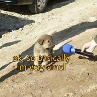 YouTube Comments Are Lit