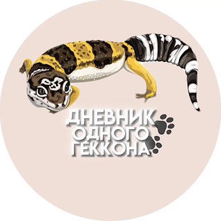 Дневник одного геккона