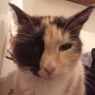 itzvl_off_fans 🇷🇺