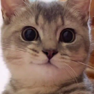 ЭТАЛОН | The KUBRO blog