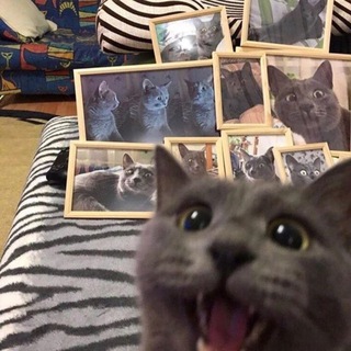 ✧•Квадробика/Хаус•✧