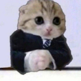 муравейник