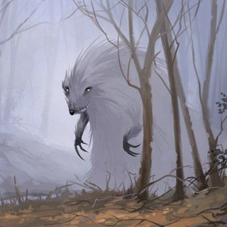 Лес Ежа Афанасия