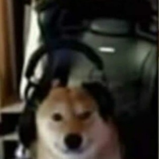 Жизнь одного чупачупса.