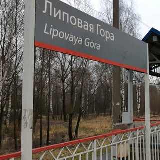 Липовая гора | Всё и сразу