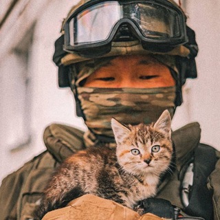 Котятишны ньюZ